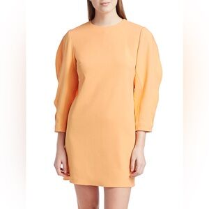 Tibi Chalky Drape Origami Sleeve Dress Sz M